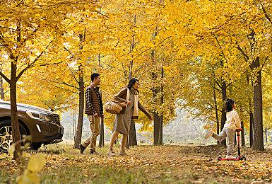 《Swords & Slippers》新视频 大雷白雪公主挥舞大斧