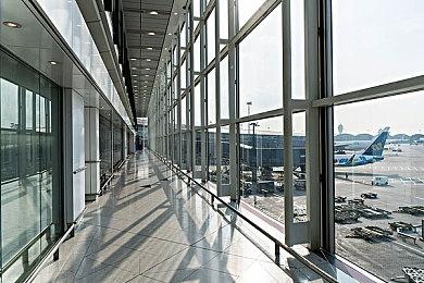 《四海兄弟》女配音演员确认新作已在开发中